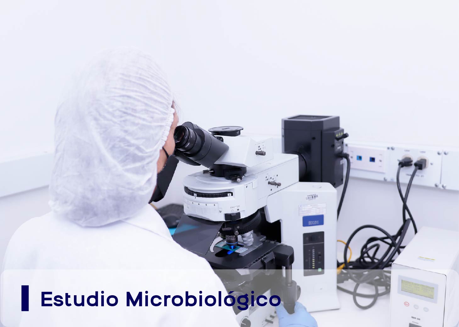 Microbiología