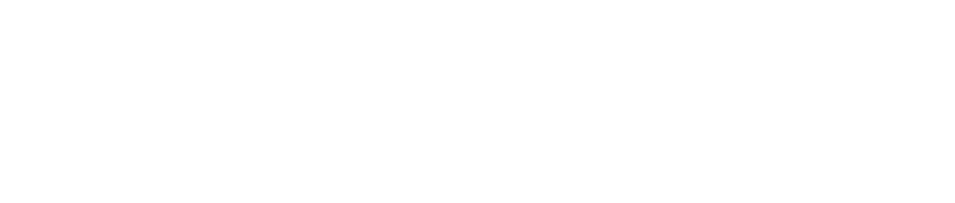 Analquim