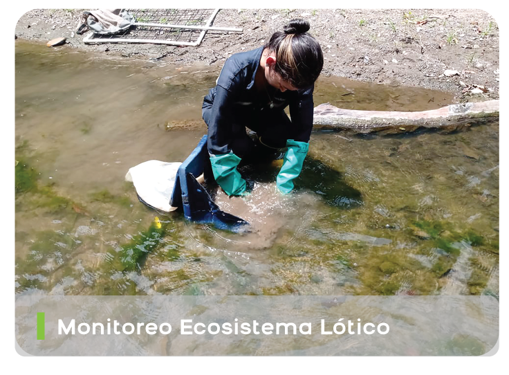 Monitoreo Ecosistemas Lóticos