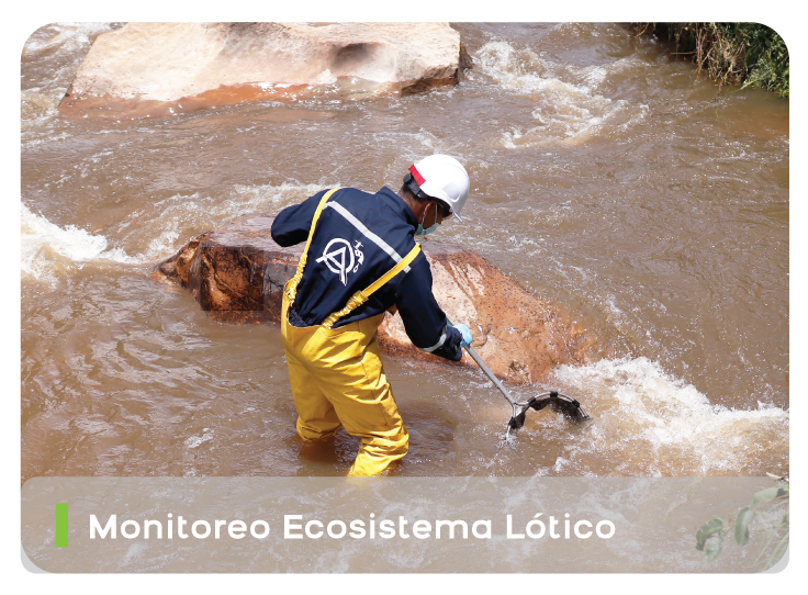 Monitoreo Ecosistema Lótico