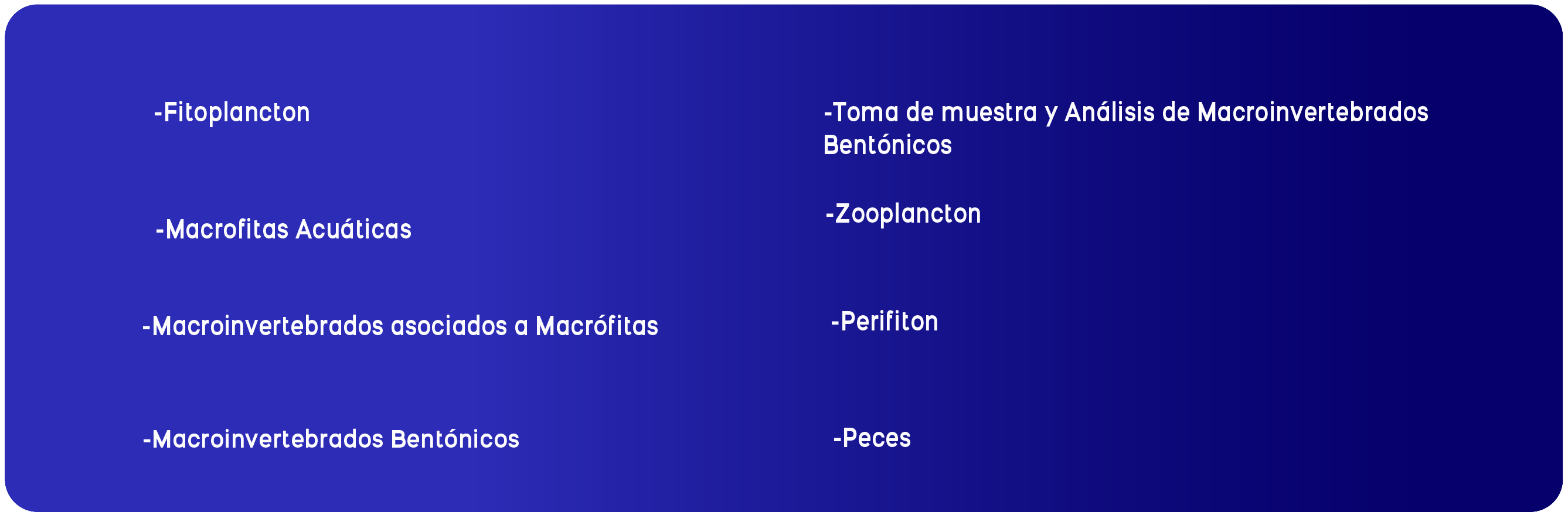 Nueva imagen con efecto hover