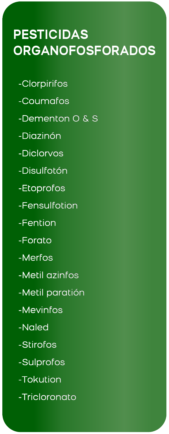 Sedimentos